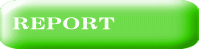 REPORT