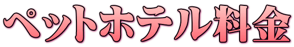 �y�b�g�z�e������