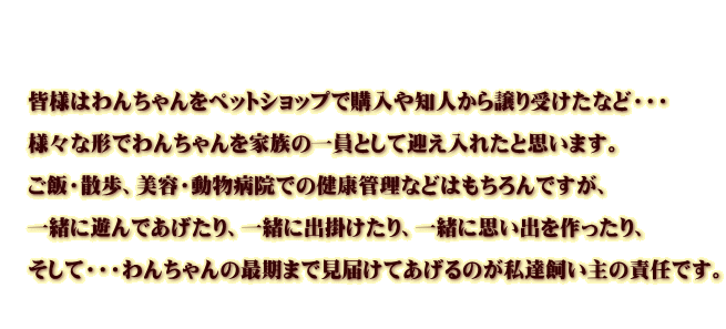     �@�F�l�͂�񂿂����y�b�g�V���b�v�ōw����m�l�������󂯂��ȂǁE�E�E  �@�l�X�Ȍ`�ł�񂿂����Ƒ��̈���Ƃ��Č}�����ꂽ�Ǝv���܂��B  �@���сE�U���A���e�E�����a�@�ł̌��N�Ǘ��Ȃǂ͂������ł����A  �@�ꏏ�ɗV��ł�������A�ꏏ�ɏo�|������A�ꏏ�Ɏv���o���������A  �@�����āE�E�E��񂿂��̍Ŋ��܂Ō��͂��Ă�����̂����B������̐ӔC�ł��B  