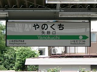 wS