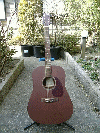 MARTIN D-15(2000)