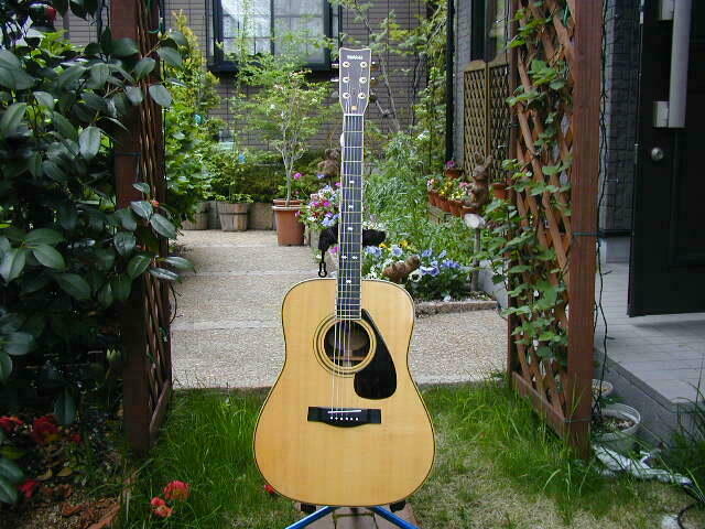 YAMAHA L-5(1982)