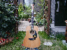 MORRIS WS-40E