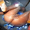 PANSUT FECHI