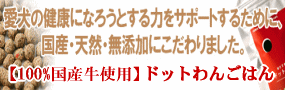 ドットわん　ドッグフード 通販