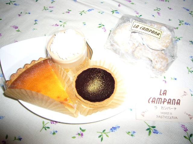 VP[L
