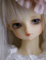 SD�����