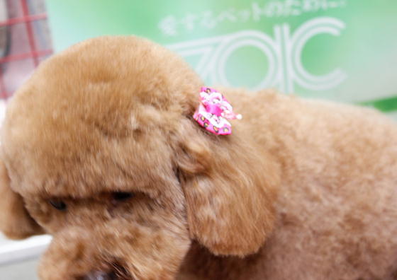 g~OTՁ[
