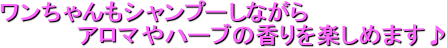 Vv[Ȃ
@@@@@A}n[u̍y߂܂