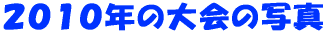 QOPON̑̎ʐ^