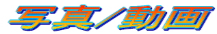 ʐ^