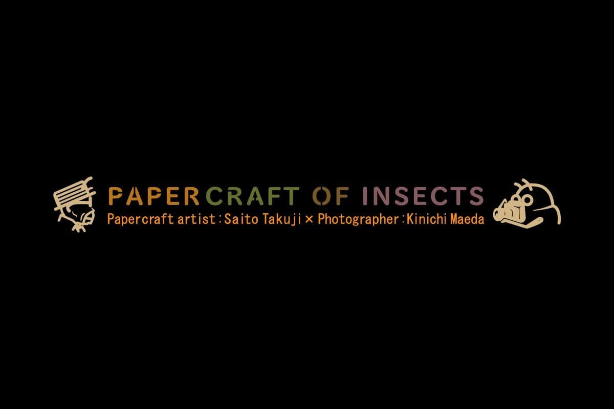 insects.jpg