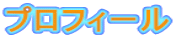 �v���t�B�[��