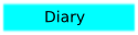 diary