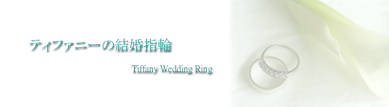 �u�e�B�t�@�j�[�̌����w�ցv���S