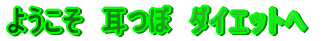 �悤�����@���ځ@�_�C�G�b�g��