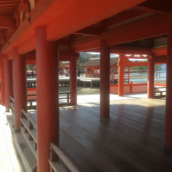 ���邫�܂�