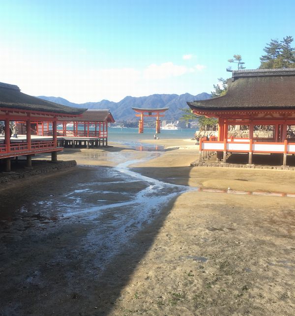 �����_��