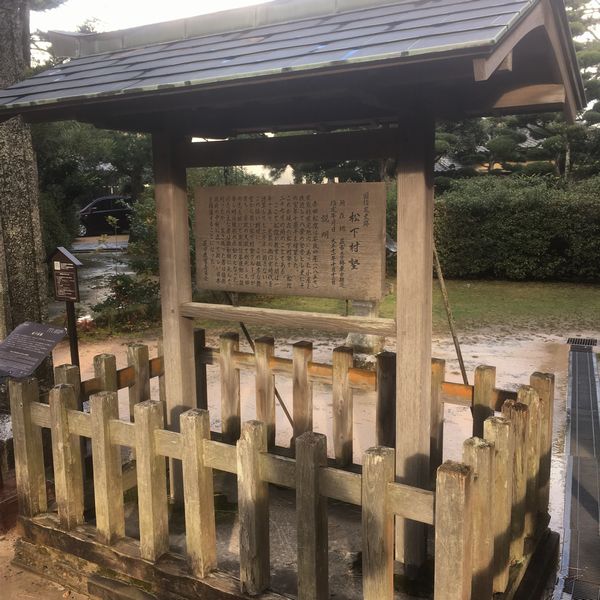 �������m