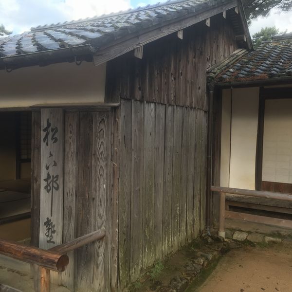 �������m����