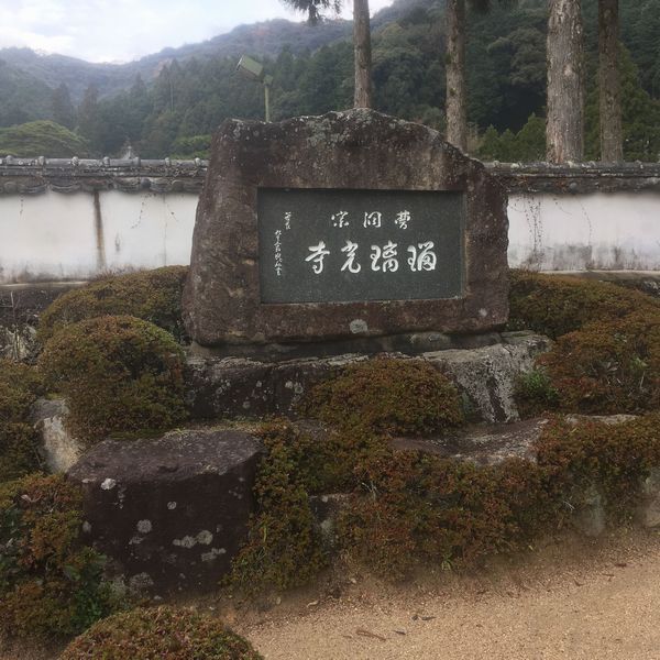 �ڗ�����