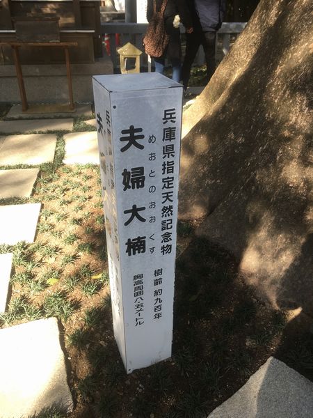 �v�w���Ŕ�