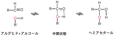 構造 ヘミ アセタール