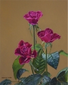 薔薇（2002）F 3号 - バージョン 2.jpg