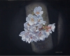 桜（2010）F３号 - バージョン 2.jpg