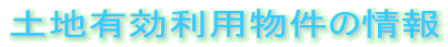 ynLp̏