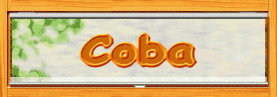 Coba