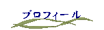 �v���t�B�[��