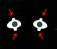 ڂP