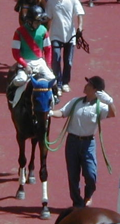 phbN3