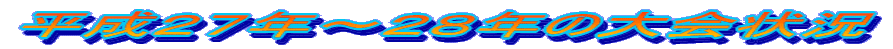 •½¬‚Q‚V”N`‚Q‚W”N‚Ì‘å‰ïó‹µ