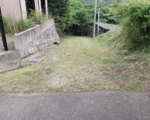 草刈後4.jpg