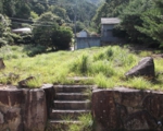 草刈前5-2.jpg