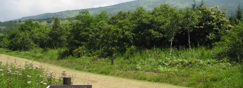 km.jpg