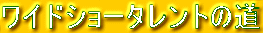 ワイドショータレントの道
