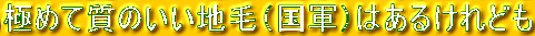 ɂ߂Ď̂nсiRj͂邯ǂ