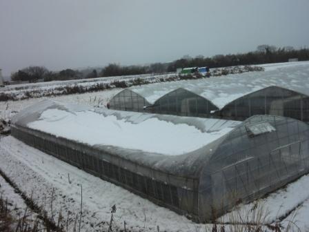 2014年2月雪で倒壊