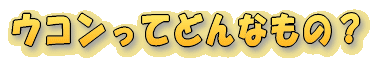 ERĂǂȂ́H