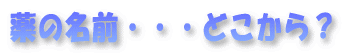 ̖OEEEǂH 