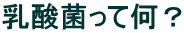 _ۂĉH
