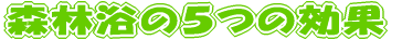 Xї̂T̌ 