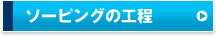 �\�[�s���O�̍H��