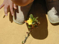 NAMBUNG National Park