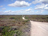 NAMBUNG National Park