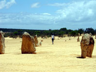 NAMBUNG National Park