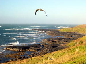 Seal Rocks